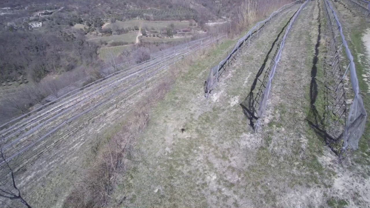 Pianoro del Mottolone (Colli Euganei)