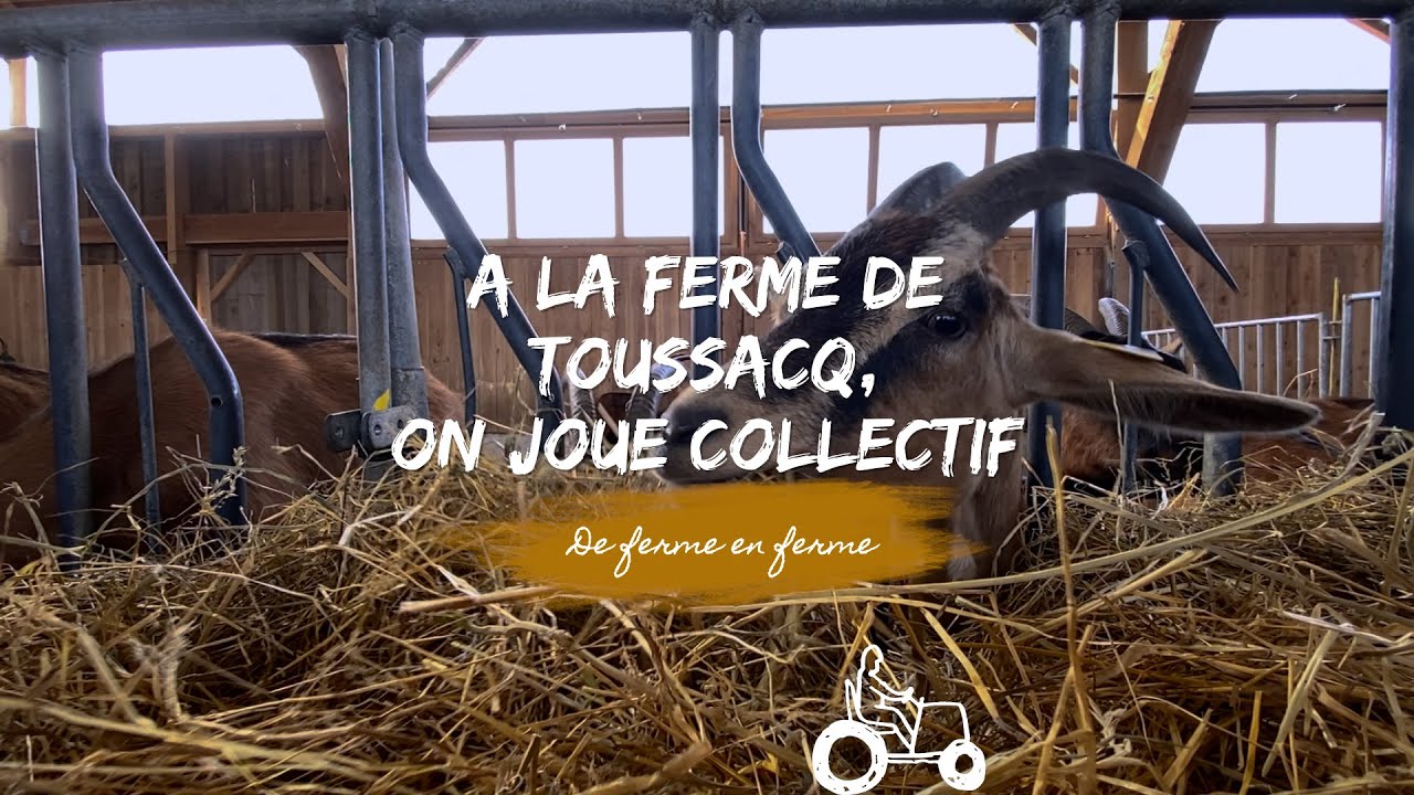 Vies de fermes - A la ferme de Toussacq, on joue collectif