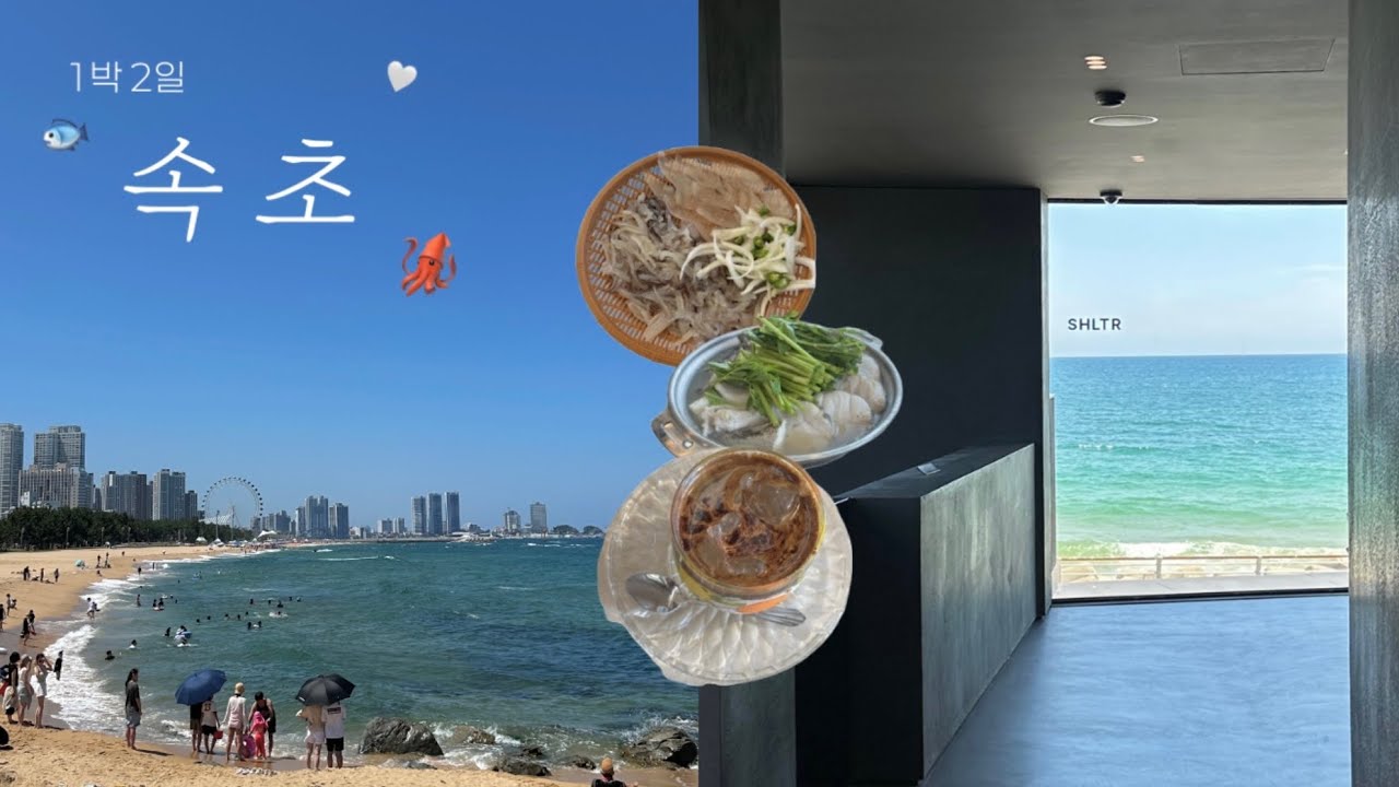 𝑉𝑙𝑜𝑔🐟속초 1박 2일 여행⋆⭒𓆟⋆｡˚𖦹𓆜✩⋆🌊오징어난전/셜터/크래프트커피/속초시장/속초카페/속초맛집