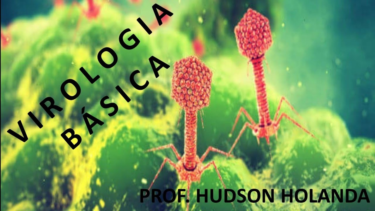 Virologia B&aacute;sica
