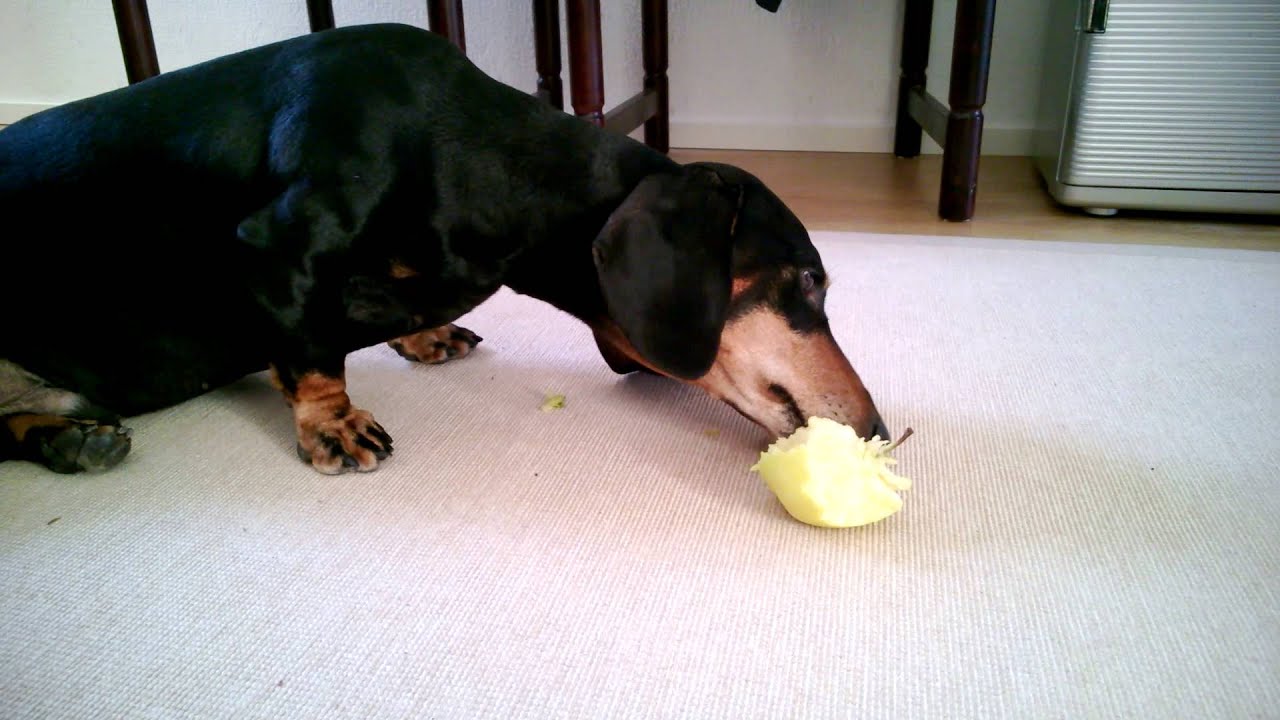 Apple taste test by Riku. 5/5