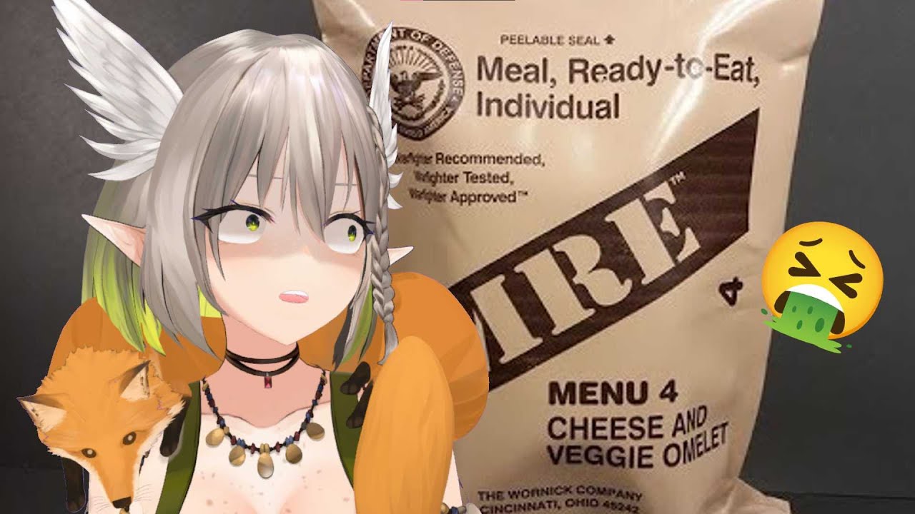 DISGUSTING MRE ADVENTURES