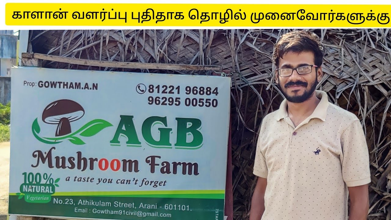 Mushroom cultivation for new entrepreneurs!!காளான் வளர்ப்பு புதிதாக தொழில் முனைவோர்களுக்கு.....