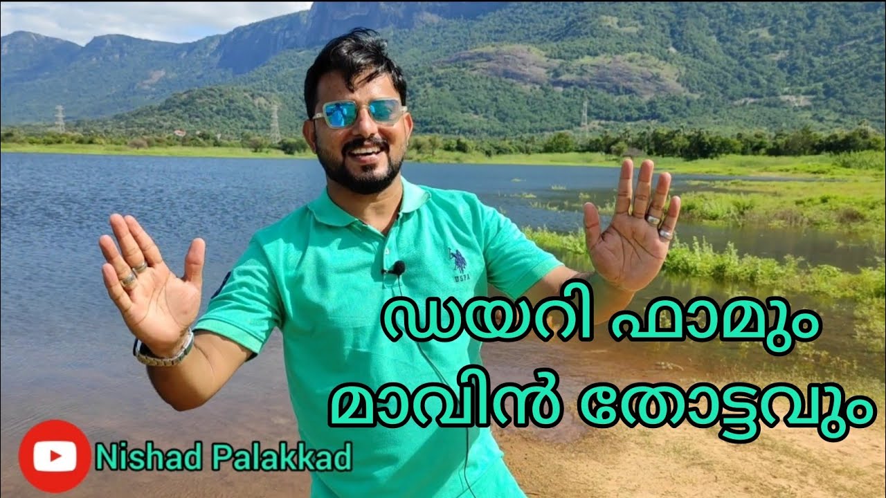 #Dairy farm for sale#palakkad നാലര ഏക്കറിൽ അടിപൊളി മിക്സഡ് ഫാമും മാവിൻ തോട്ടവും
