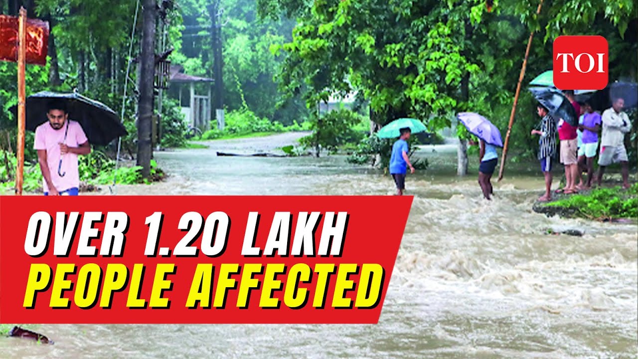 WHY You Should WORRY ABOUT ASSAM FLOOD CRISIS...