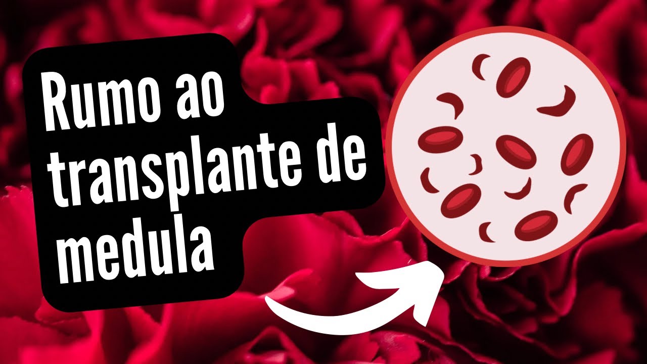 Preparação para o transplante de medula