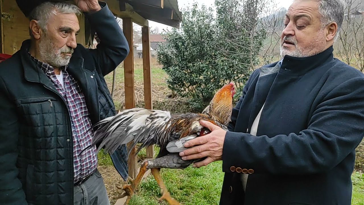 ///🇹🇷MUSA GARDAŞLIĞIN BAHÇESİNDE GİZLİ ÇEKİM YAPALIM DERKEN YAKALANDIK!!!🇦🇿///