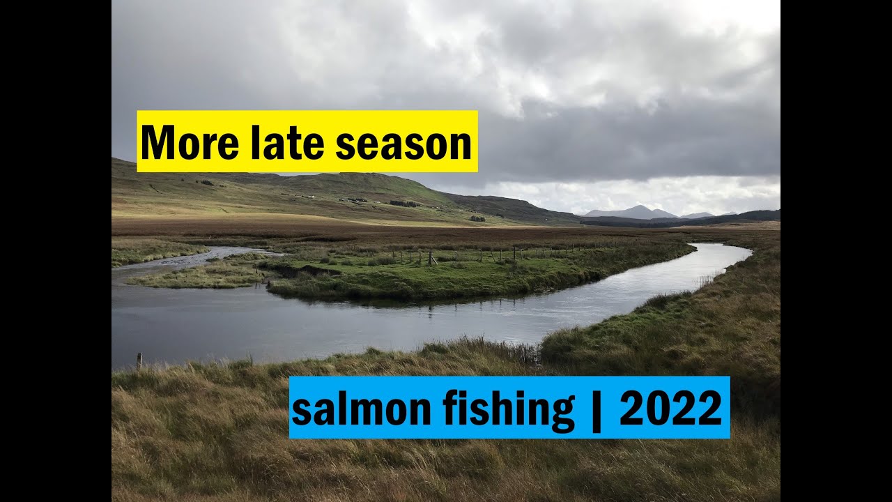 More salmon and sea trout fly fishing | October 2022