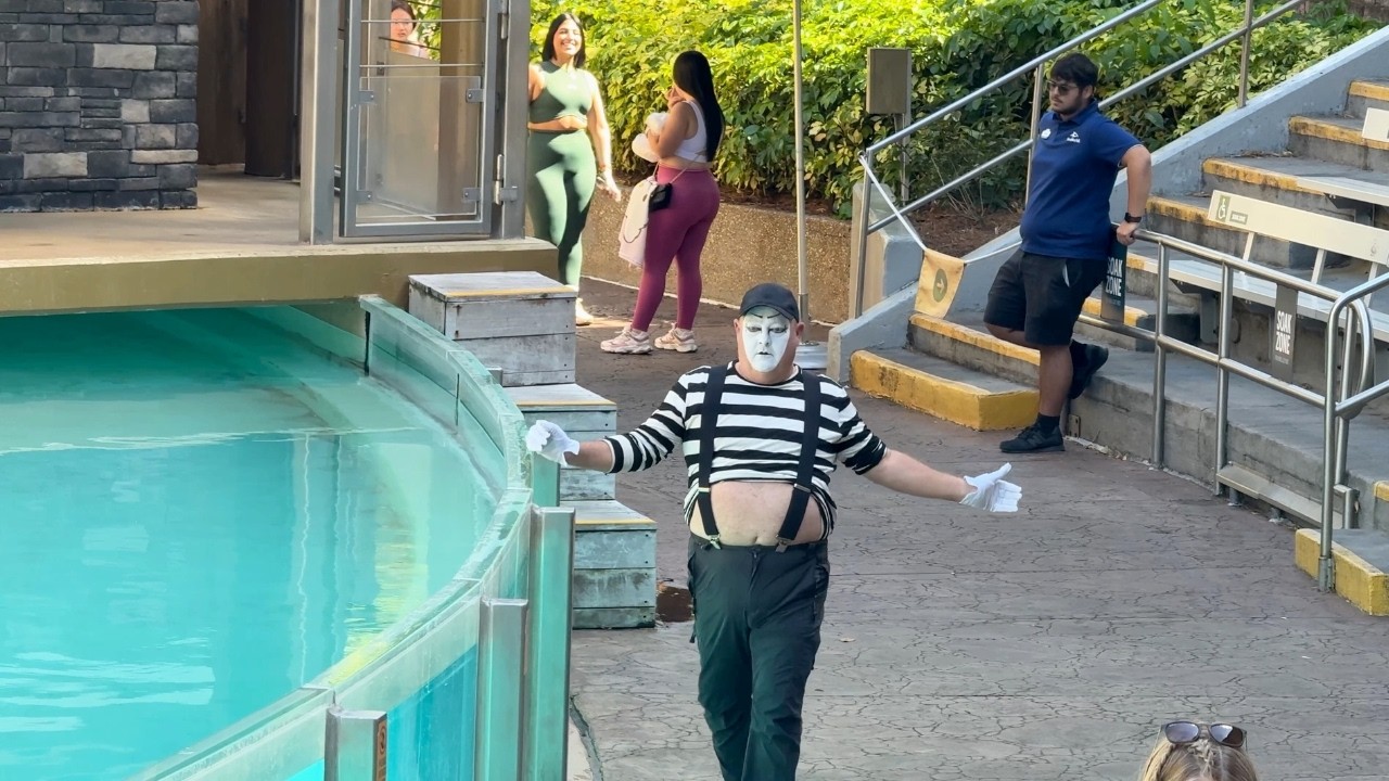 Did not expect this moment | Tom the mime full show