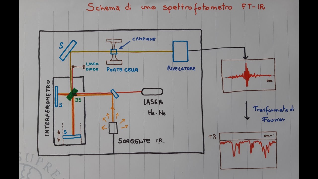 Spettrofotometro FT-IR (Valentina Domenici)