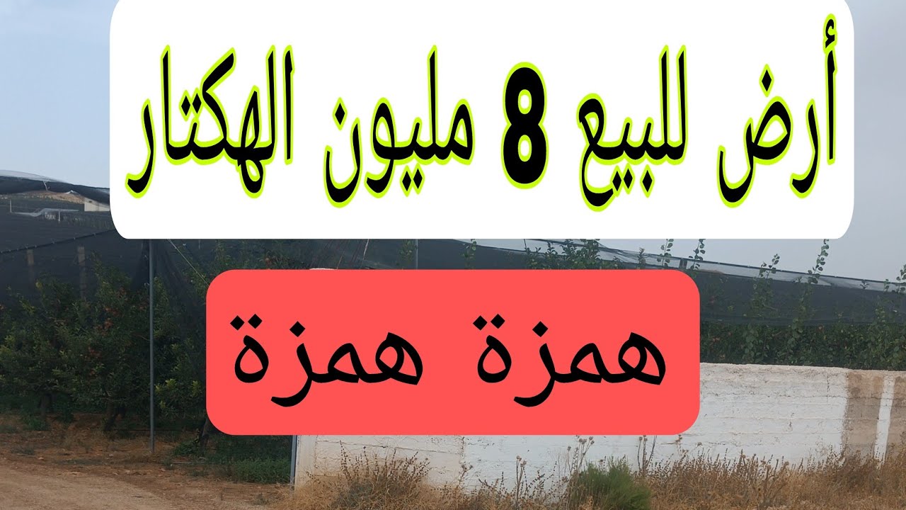 هموز أراضي الخير وكالة عقارية جمال بيع وشراء الأراضي فلاحية 💯💯 0679444657