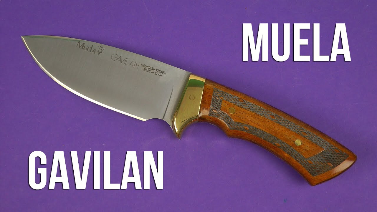 Распаковка Muela GAVILAN
