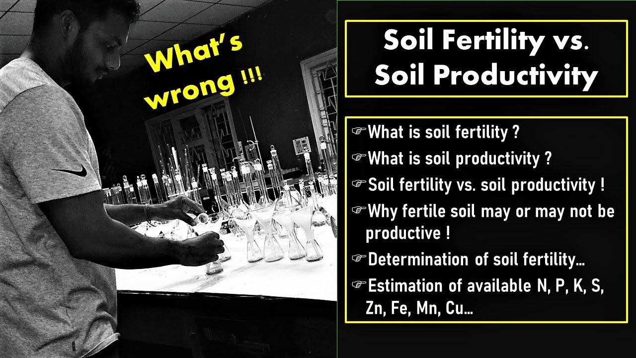 Soil fertility vs. productivity | Determination of soil fertility and productivity #soilfertility