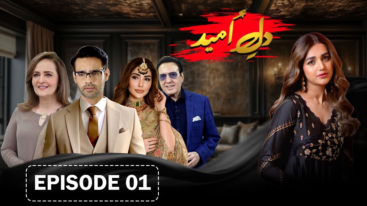 Dil e Umeed Episode 01 | Anum Fayyaz, Hassan Niazi and Sabeeka Imam | Pakistani Drama Serial