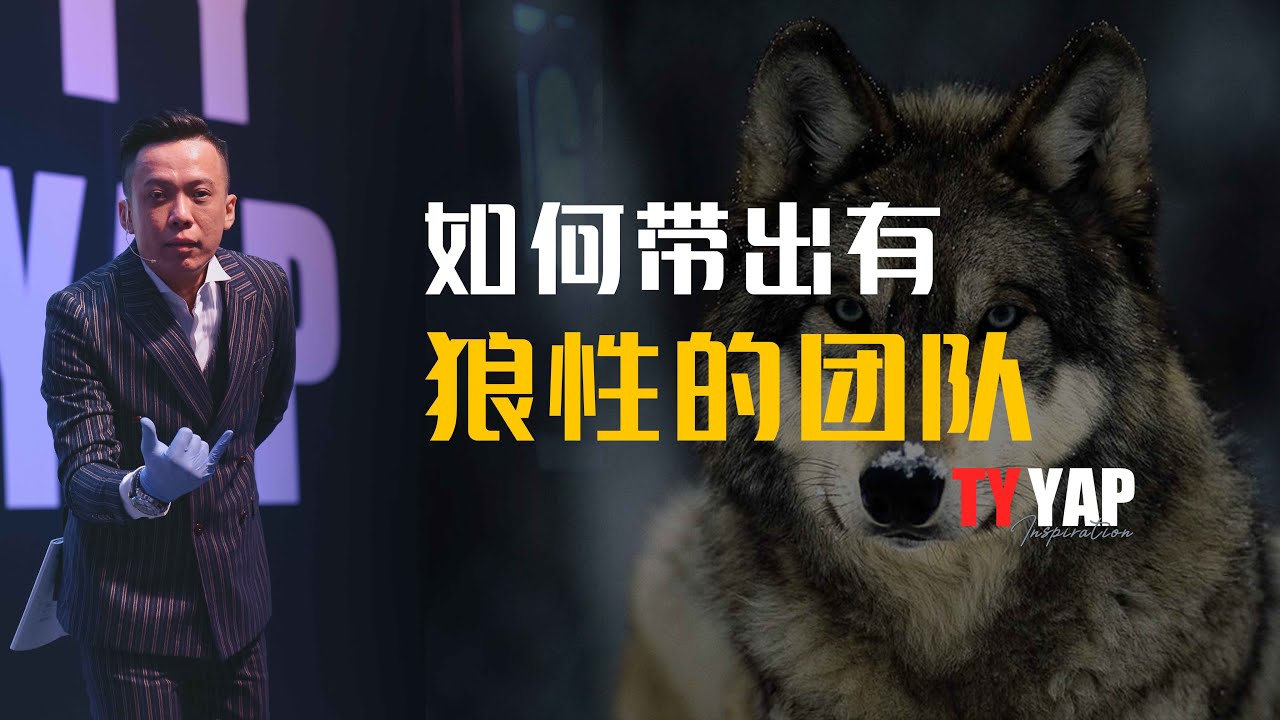 如何带出有狼性的团队 | 商业模式 | TYYAP