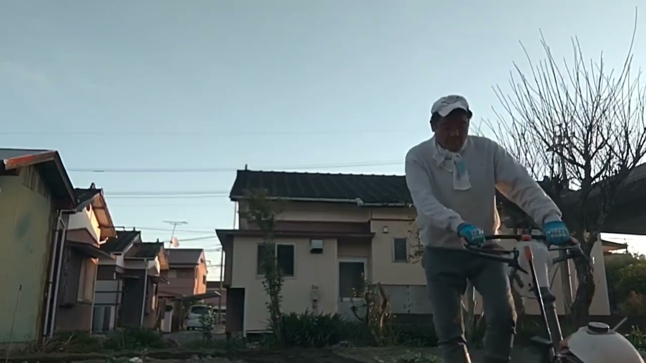 公務員おじさん。夕刻は畑。最後はゴン助も来。おじさんも刺身を持て来る。クロとチヌ。キョンさんも来たね。畑で30分話したよ。