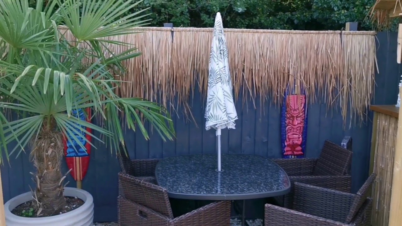 Starting my tropical garden UK