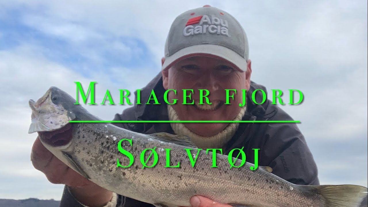 Havørreder fra Mariager fjord