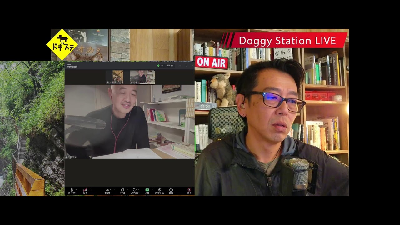 タイの野良犬に学ぶボディーランゲージ ：DOGGY STATION/犬のしつけ・問題行動・犬の心理学・犬の行動学・ドッグビヘイビアリスト