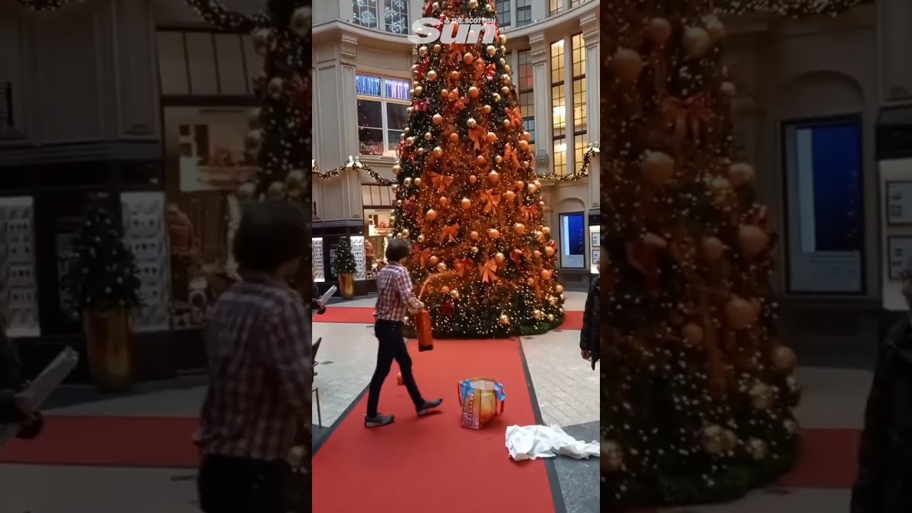 Just Stop Oil protesters destroy huge Xmas by spraying it orange