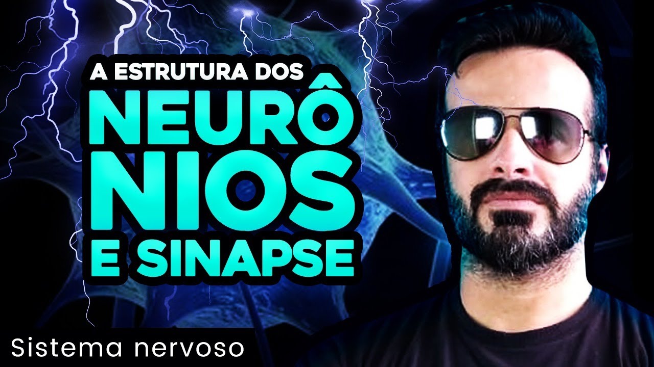 Sistema Nervoso - Estrutura dos neur&ocirc;nios e sinapse - Anatomia Humana - V&iacute;deoAula 008