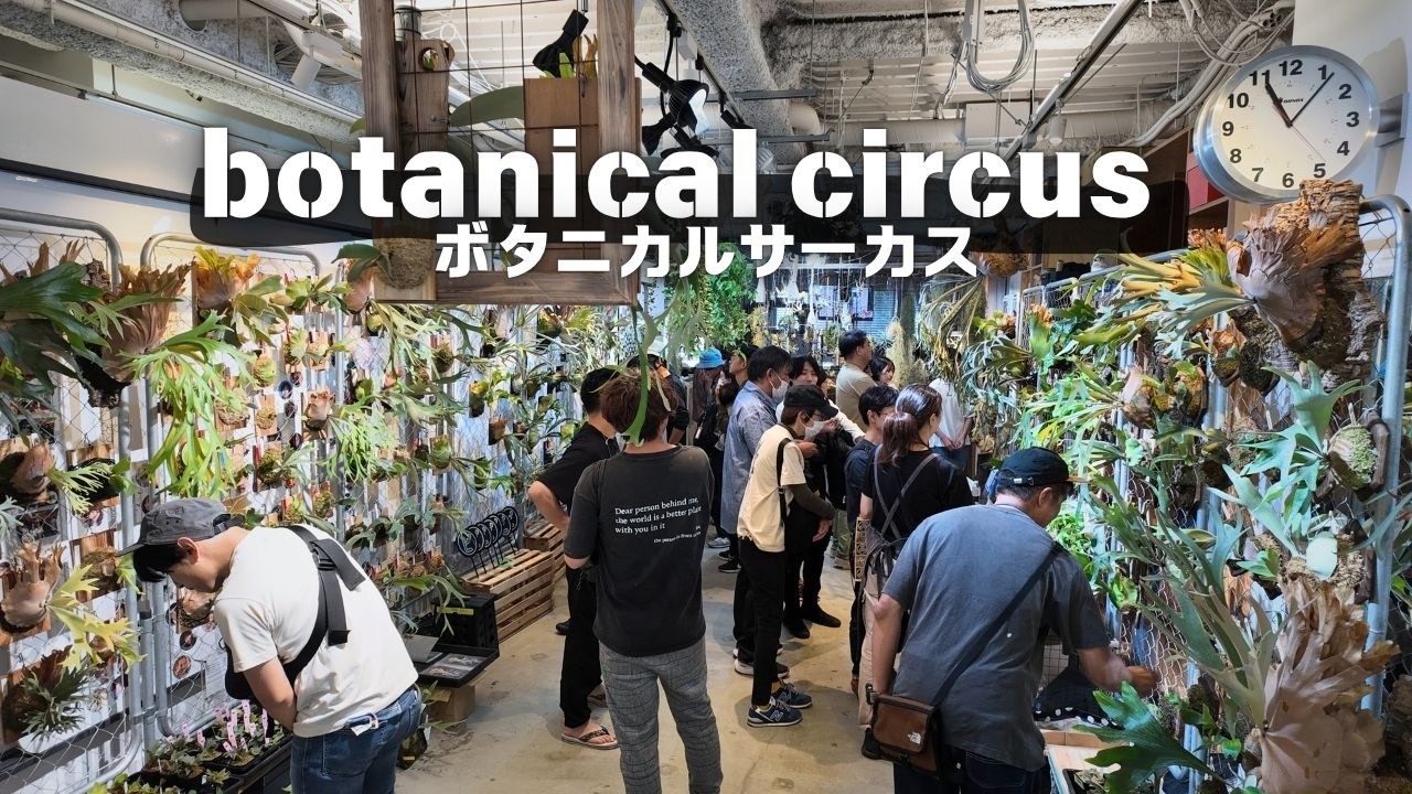 「ボタニカルサーカス6」イベントレポート　趣味家の祭典　植物イベント