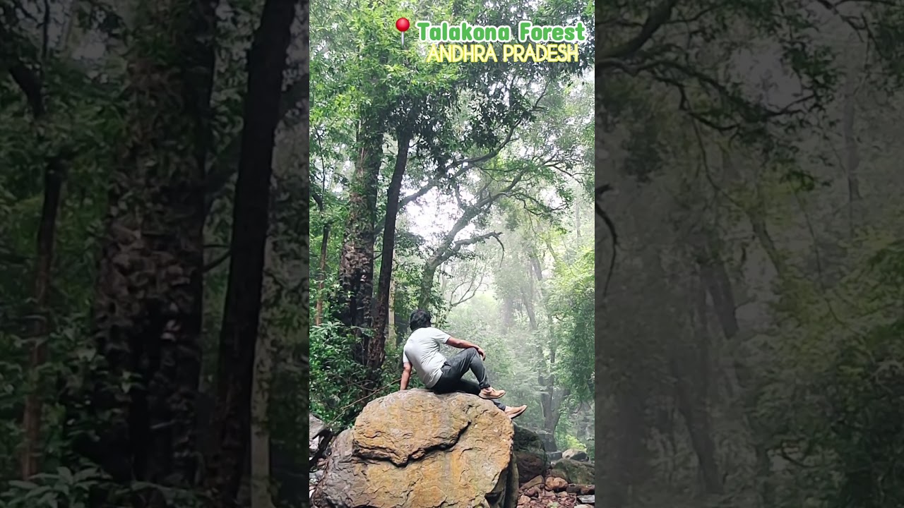 Talakona Forest | Andhra Pradesh | Tirupati #travel #nature #reels