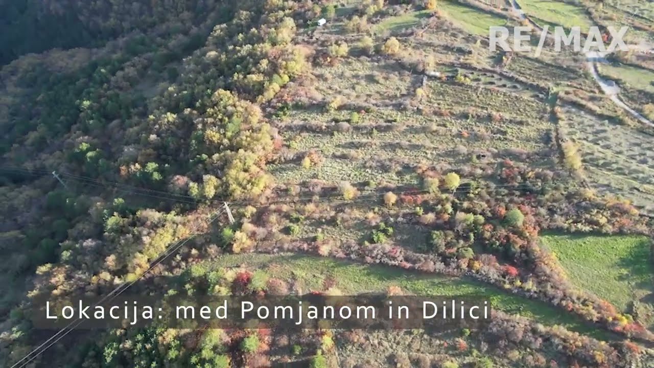 Pomjan