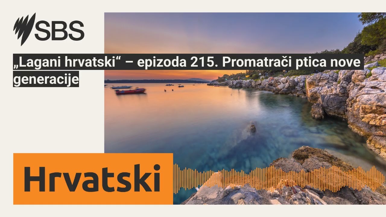 „Lagani hrvatski“ – epizoda 215. Promatrači ptica nove generacije | SBS Croatian - SBS na hrvatskom