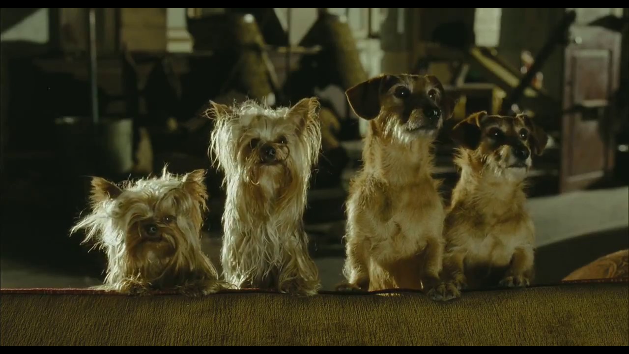 Hotel For Dogs (2009) Official Trailer