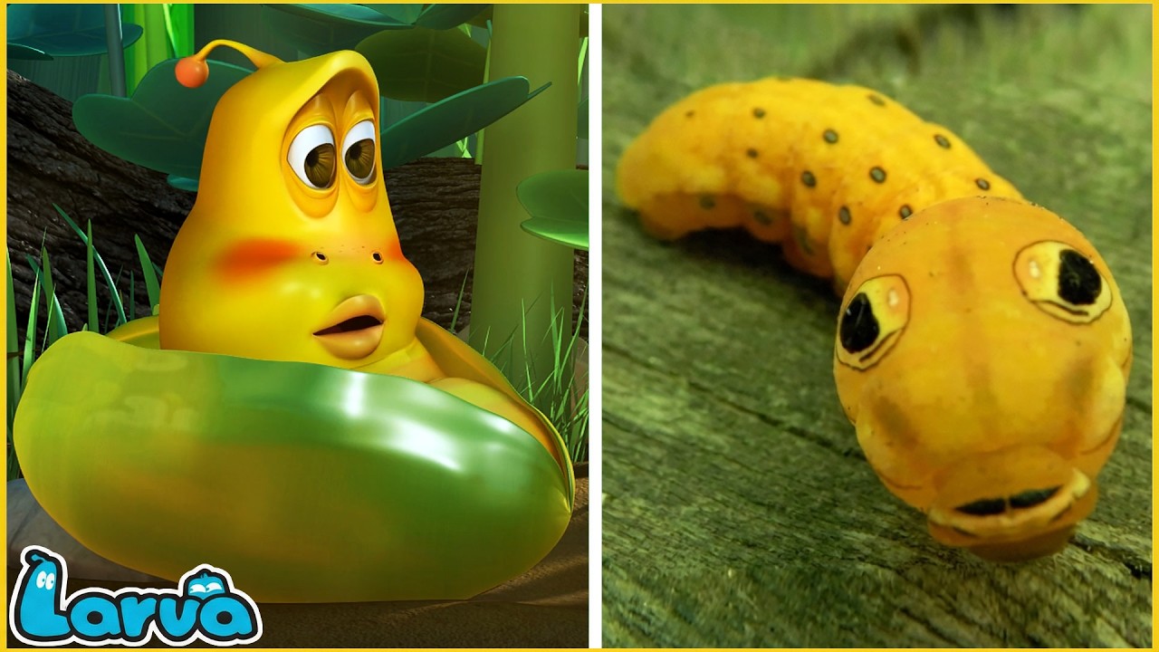 LARVA - BÍ MẬT CỦA VÀNG 🚨 ẤU TRÙNG TINH NGHỊCH 🥗 NHỮNG CHÚ SÂU VUI NHỘN | PHIM HOẠT HÌNH HAY NHẤT