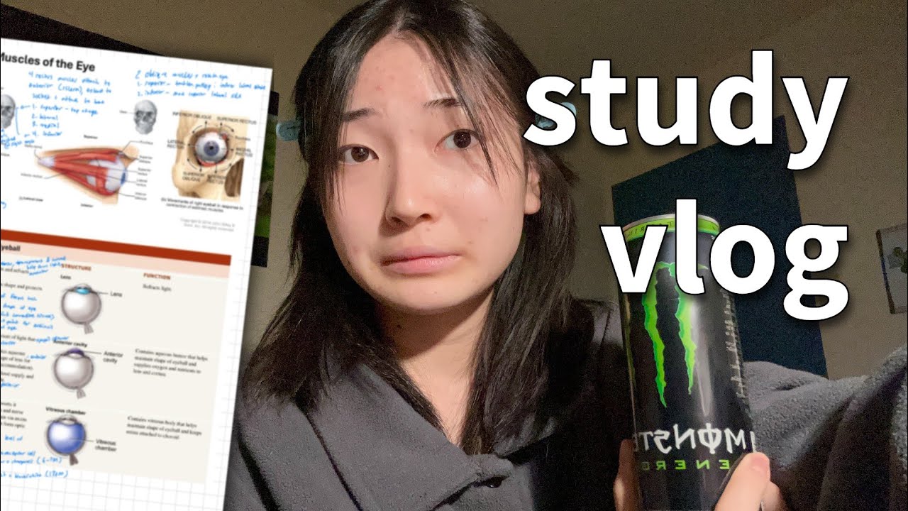 uni MIDTERM study vlog