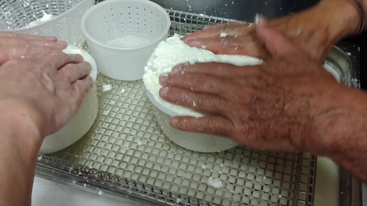 Making Pecorino Cheese