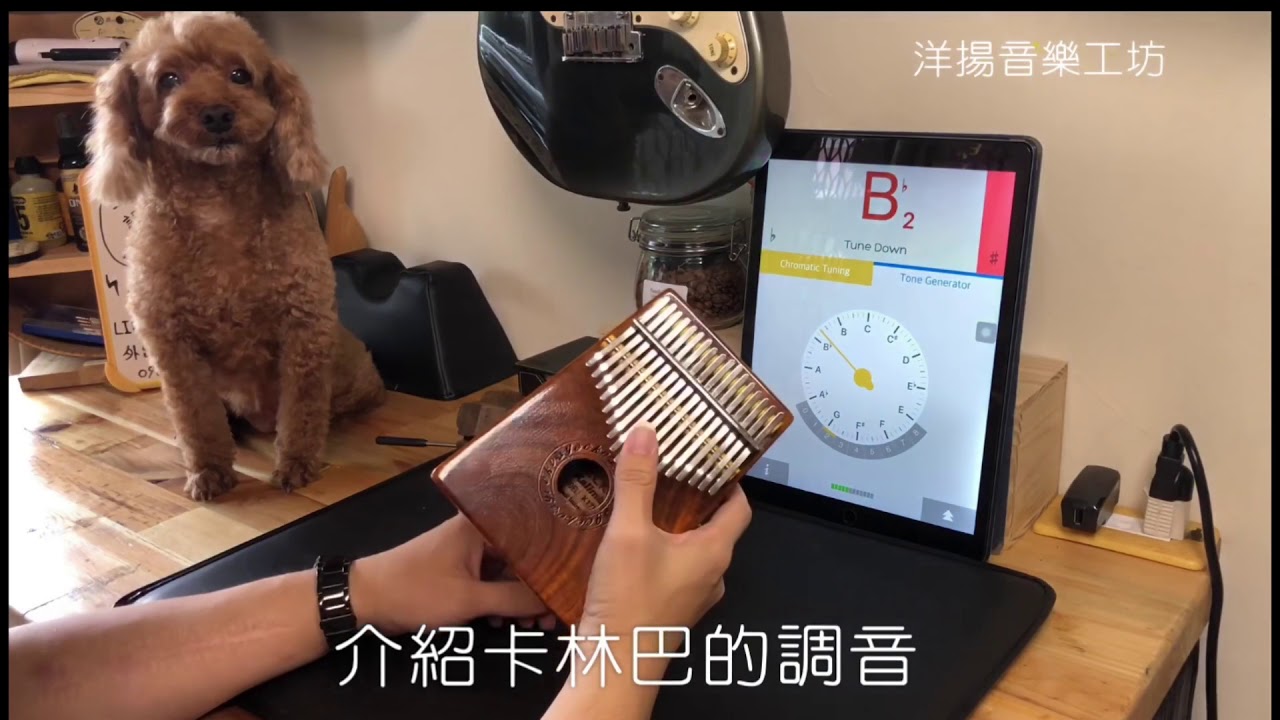 卡林巴琴Kalimba調音&整琴教學 處理惱人嗞嗞聲 （洋揚音樂工坊）