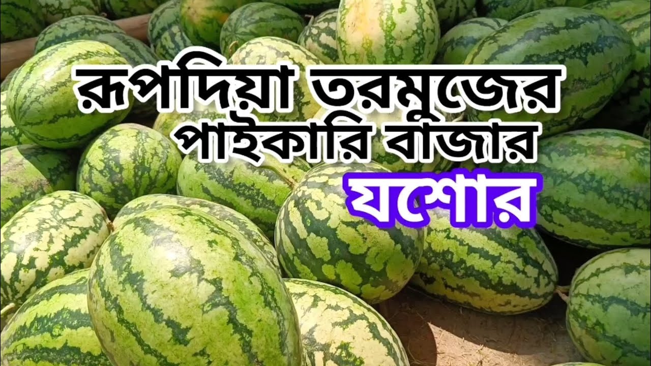 যশোরের সবচেয়ে বড় তরমুজের পাইকারি বাজার