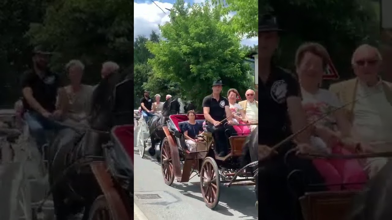 Plimbari cu trasura trasă de cai la Vatra Dornei!