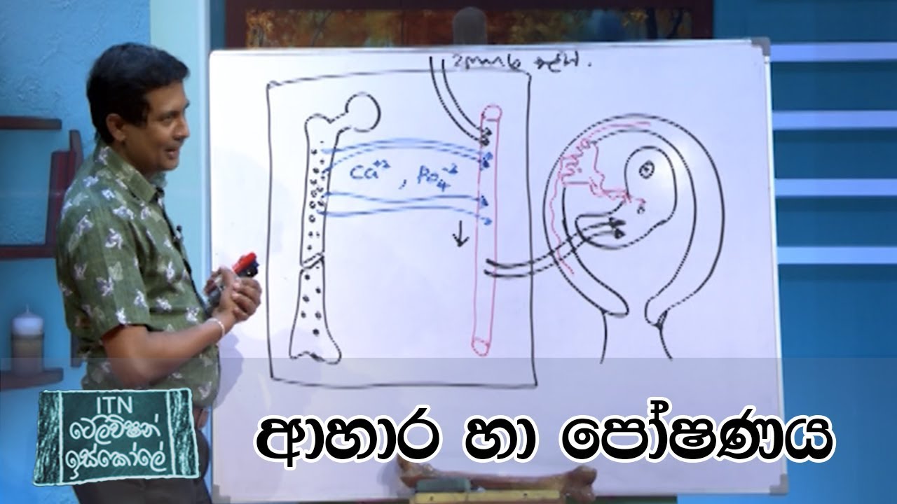 ITN Television Iskole - (2020-05-04) | ITN