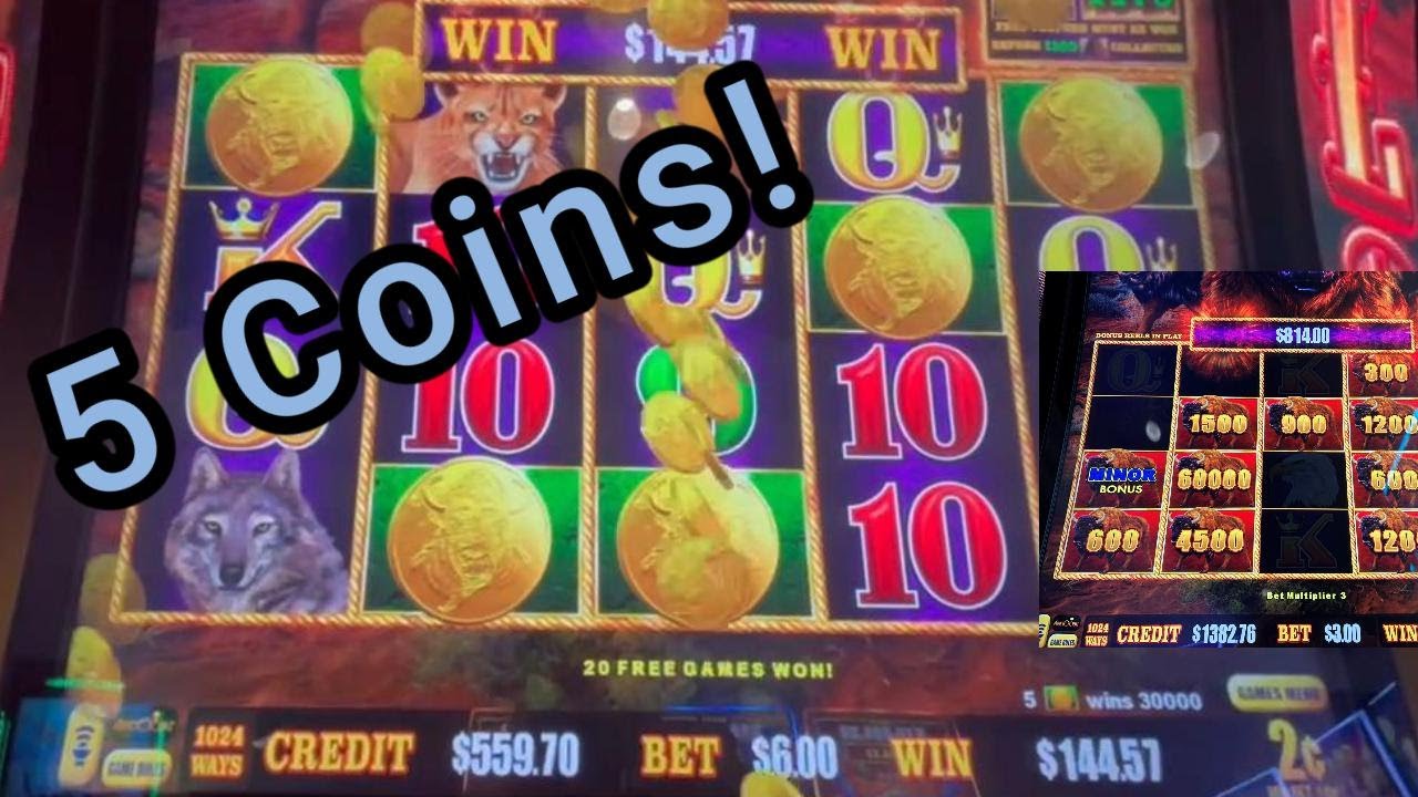 Buffalo Link - 3 из 3 видео, которые вы обязательно должны посмотреть! Включает в себя 4 и 5 триг...