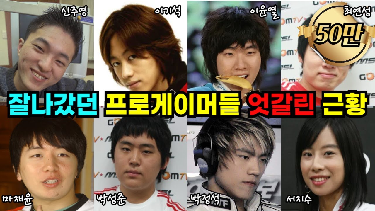 스타크래프트 프로게이머들의 엇갈린 근황