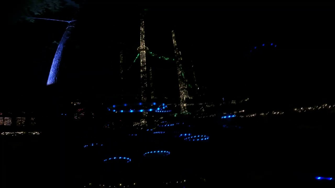 Capilano Suspension Bridge Christmas Lights Part 2
