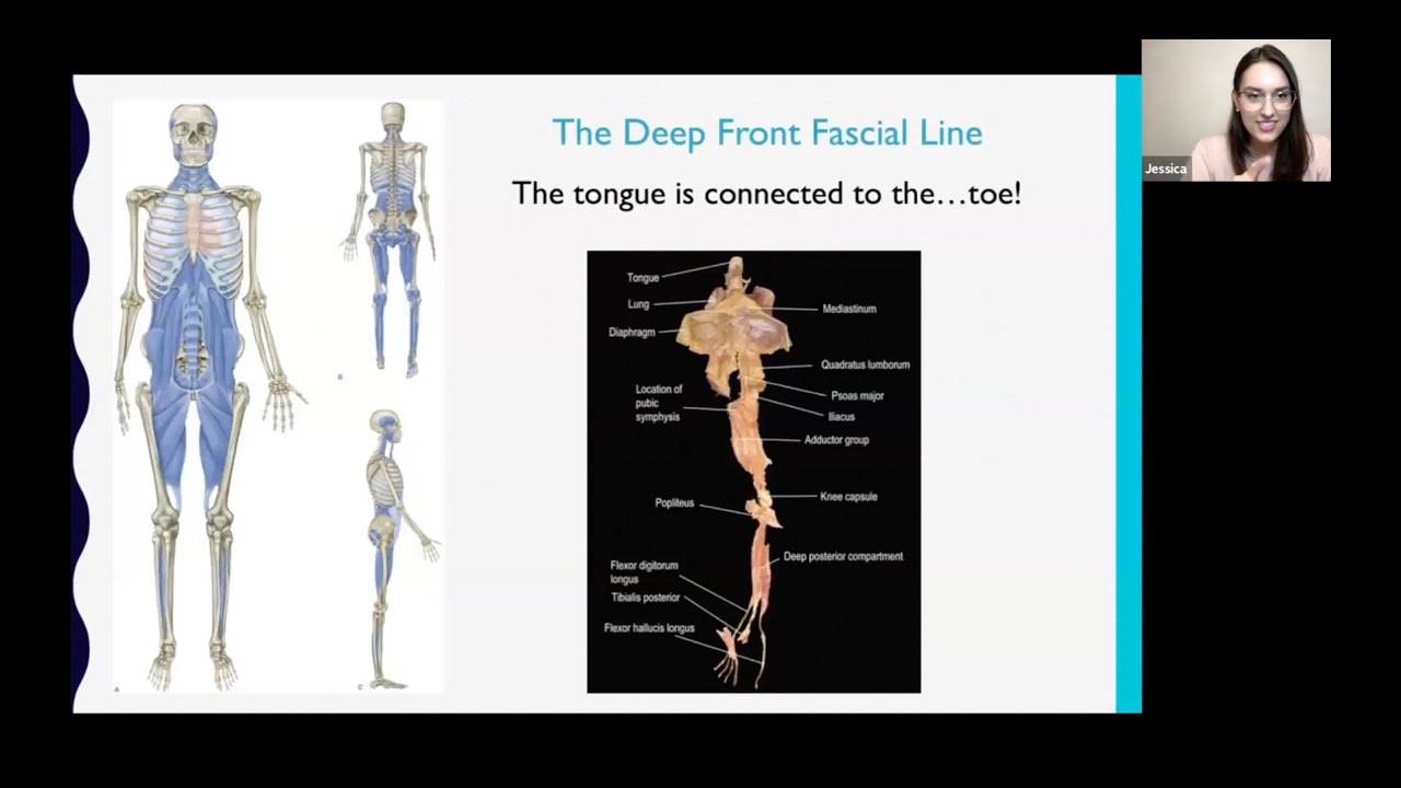 How Tongue Ties can cause Headaches, Shoulder Tension, Hip Pain, and More!