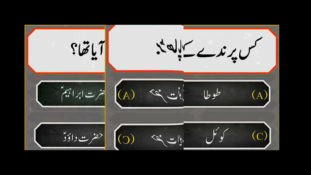 Islamicvideo #swal ke duniya 