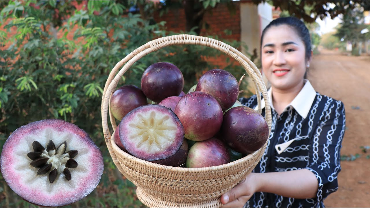 Have you ever picked and eaten milk fruit? / Milk fruit is my favorite fruit / Cooking with Sreypov