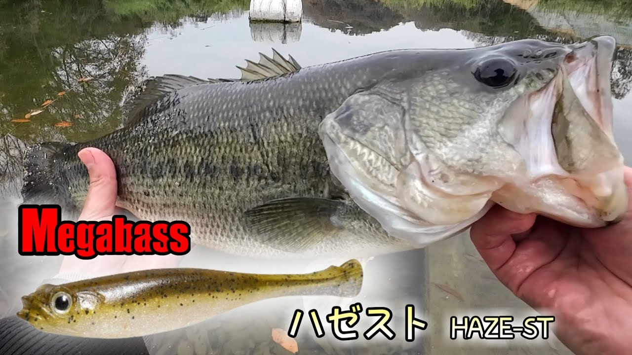 メガバスの新兵器「ハゼスト」が真冬でもぶっ壊れの釣果を叩き出す！【バス釣り】