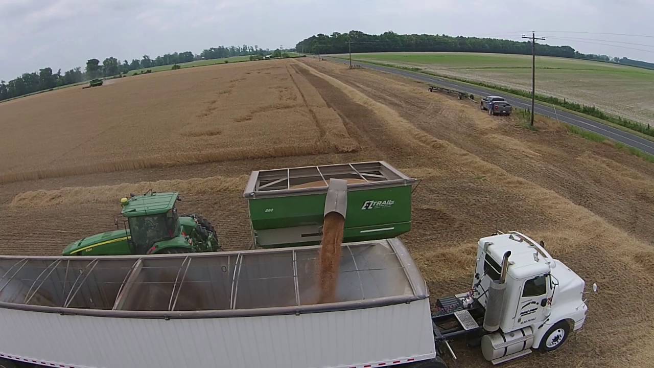 2016 Wheat Harvest