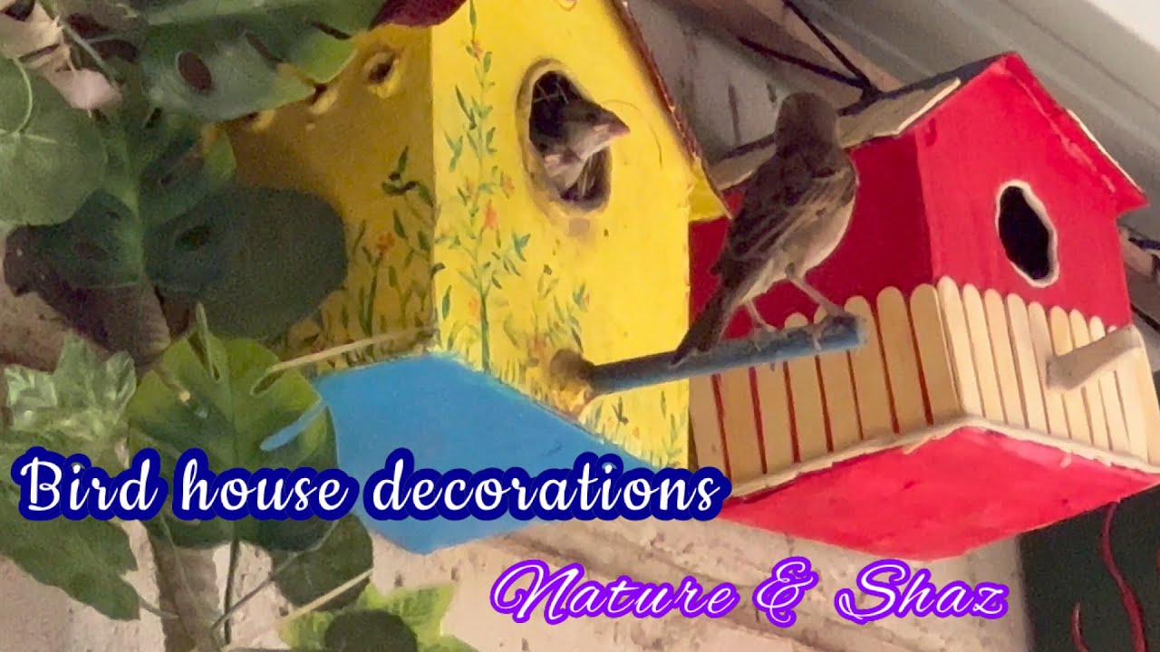 Bird house decoration ideas || Natureshaz