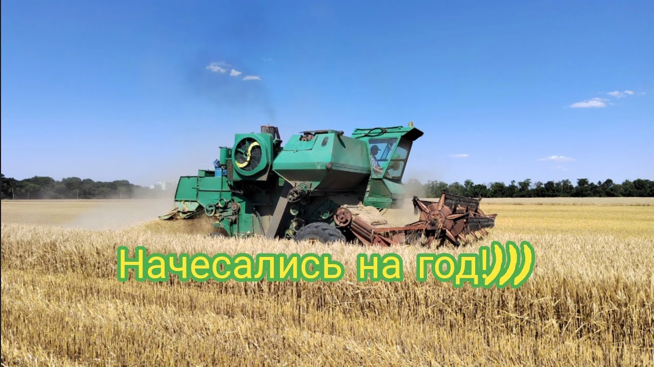 Уборка 2022 ячмень. Сорт Иосиф.