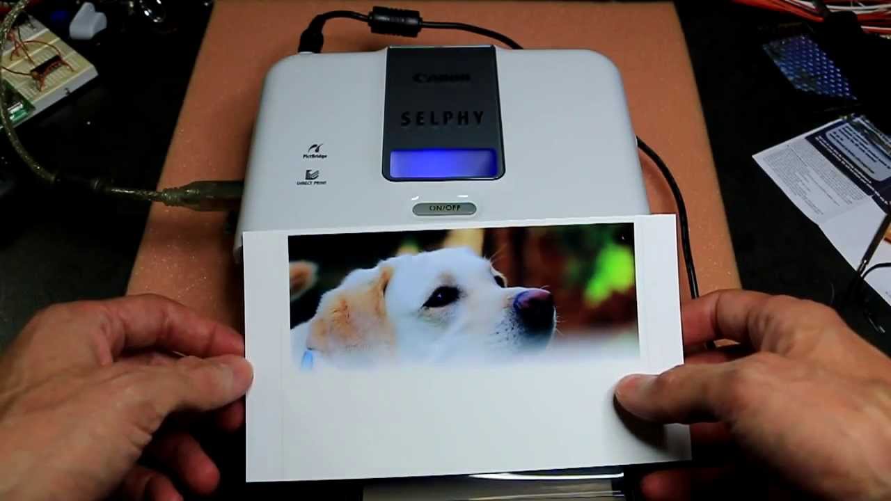 TTT-001 Canon Selphy CP510 Repair