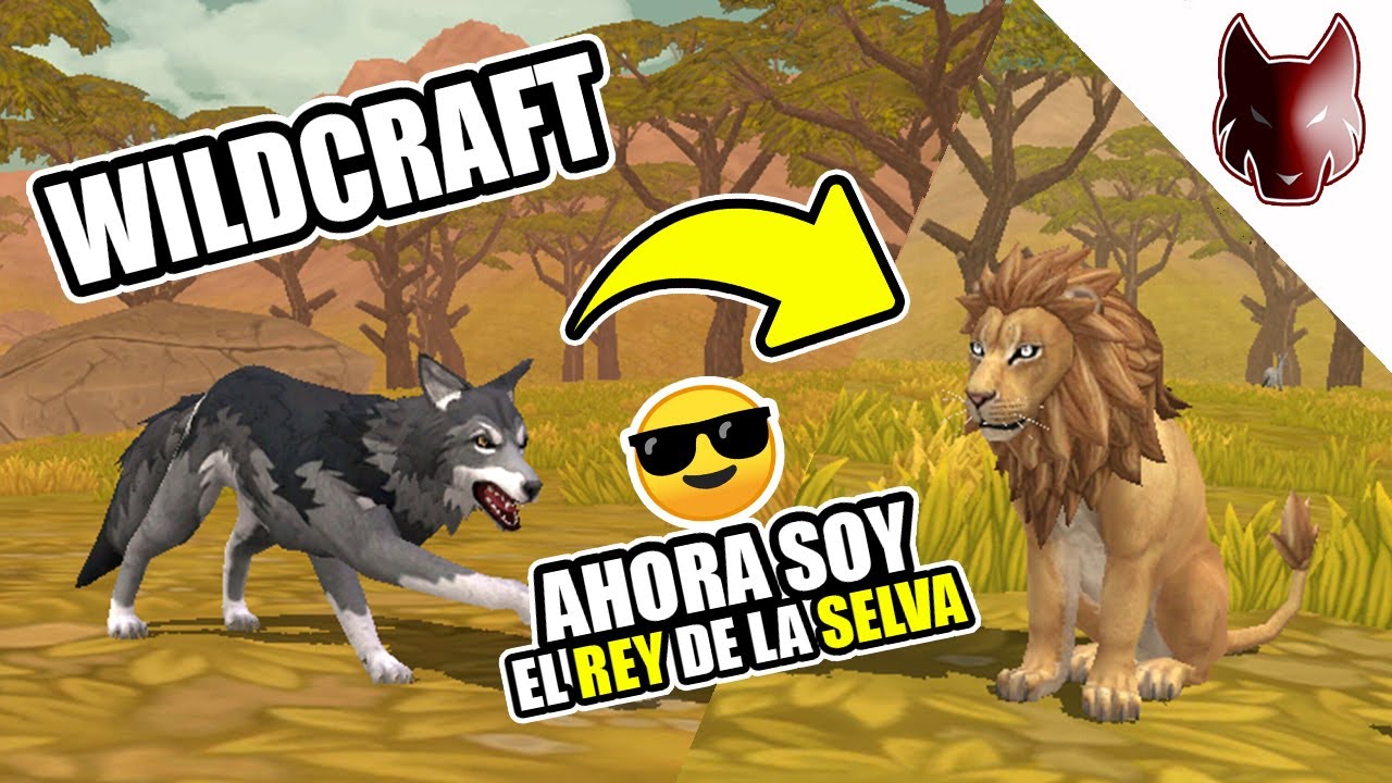 De lobo a León 🦁 Soy el Rey de la Selva - Wildcraft Gameplay en Español