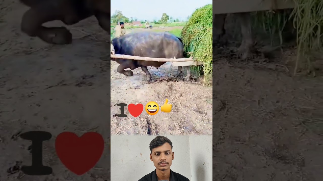 power of desi #short #shorts #reaction #viralvideo #facts